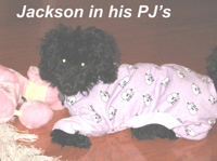 Jackson in his new PJ's