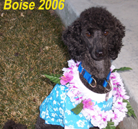 Boise
